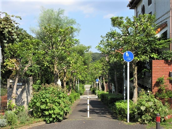 e0245404_110553.jpg