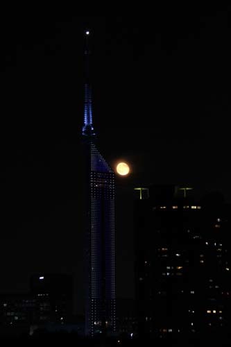 b0061108_21013008.jpg