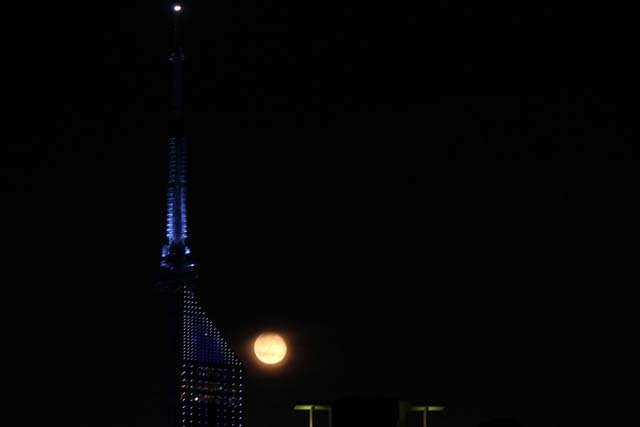 b0061108_21014171.jpg
