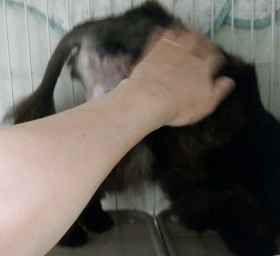 e0144012_19561622.jpeg