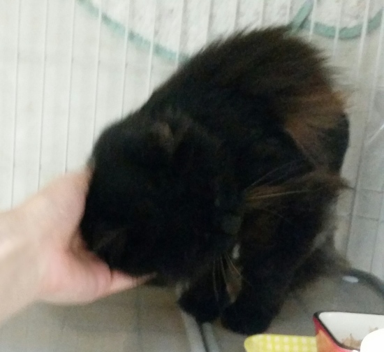 e0144012_21004887.jpeg