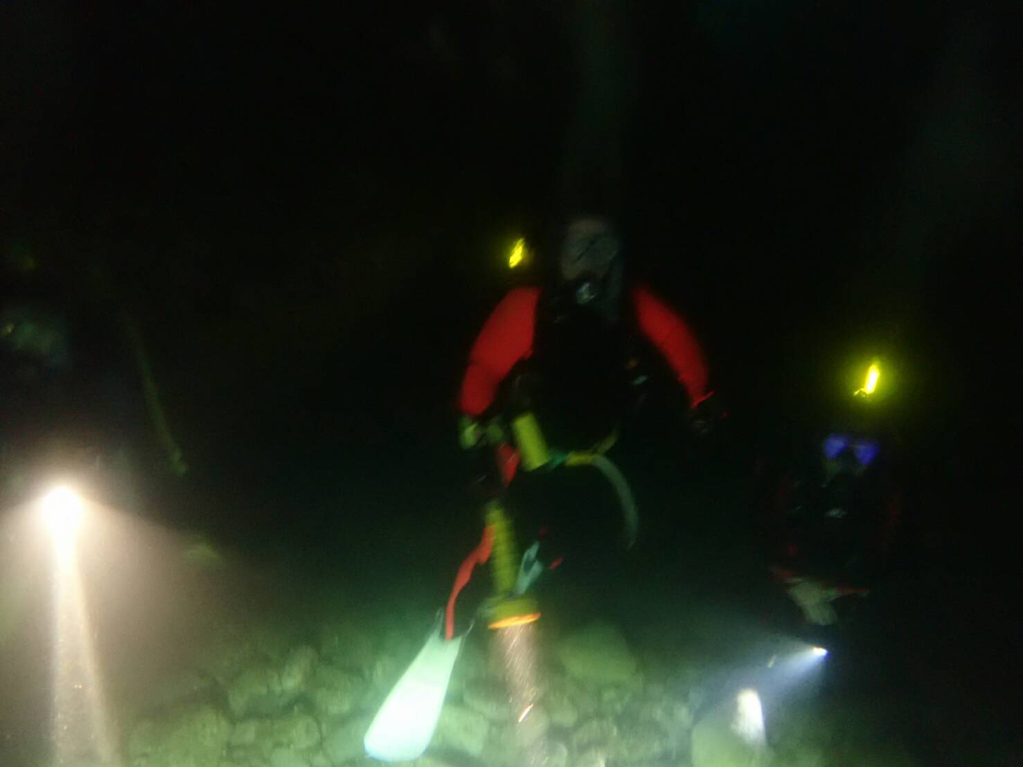 d0070216_17410643.jpg