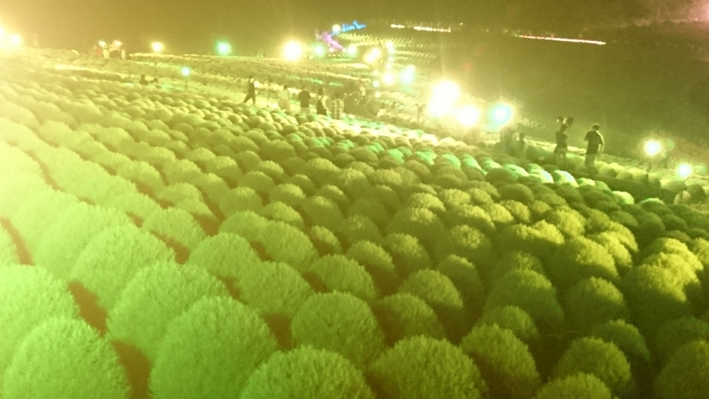 f0182618_22155484.jpg
