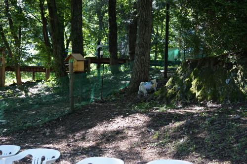 f0128821_14091679.jpg
