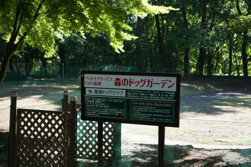 f0128821_14093506.jpg