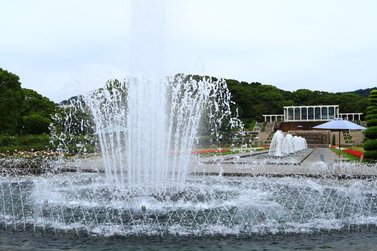f0209122_09385242.jpg