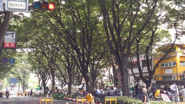 d0250123_16291219.jpg