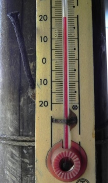 f0213825_12362367.jpg