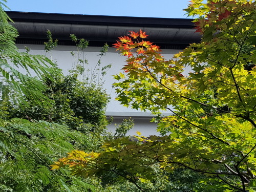 e0016828_10542008.jpg