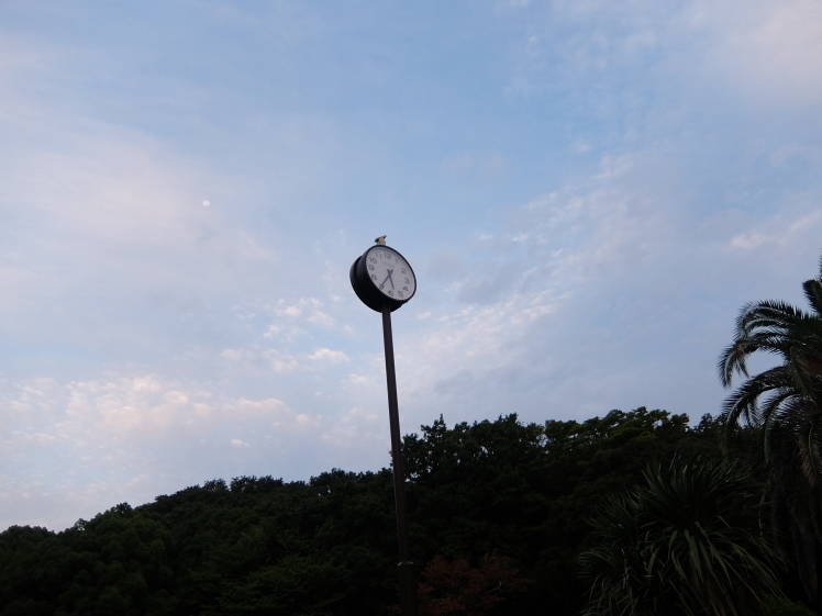 f0363628_18304417.jpg