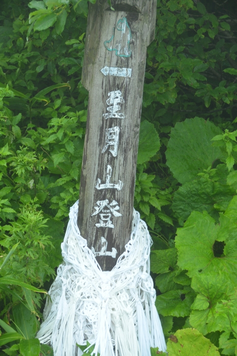 c0172234_22300710.jpg