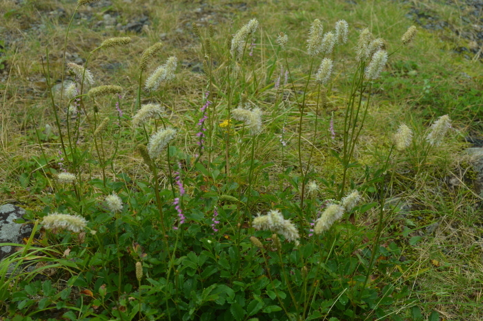 c0172234_22303561.jpg