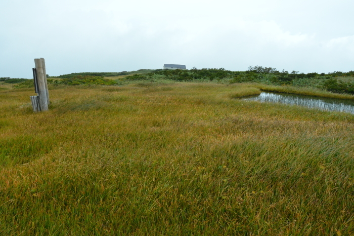 c0172234_22343816.jpg