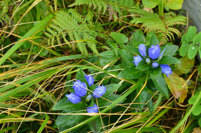 c0172234_22353786.jpg