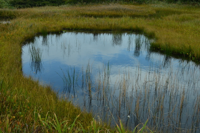 c0172234_22354612.jpg