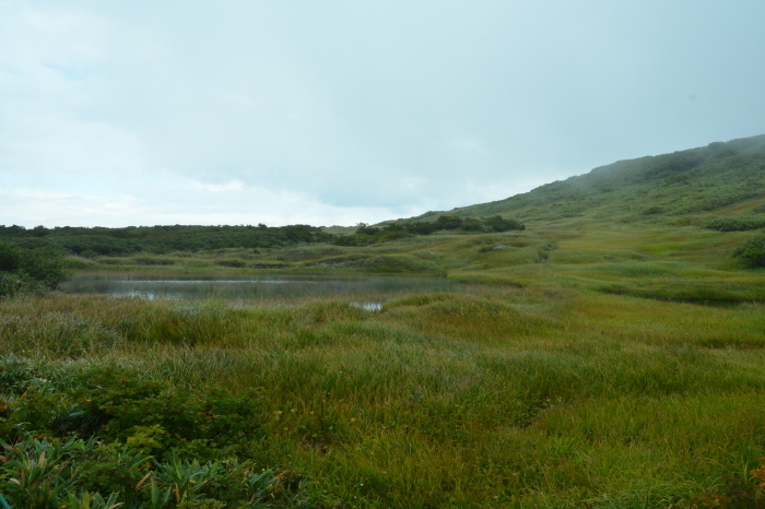 c0172234_22355906.jpg