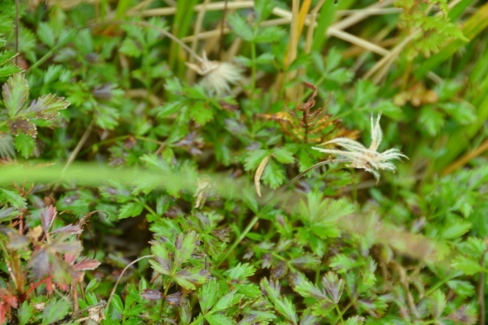 c0172234_23425332.jpg