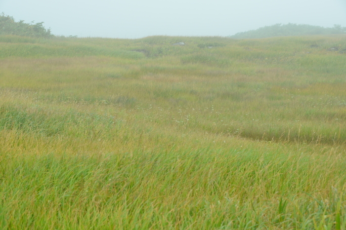 c0172234_23432438.jpg