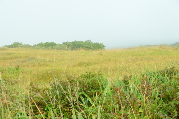c0172234_23434028.jpg
