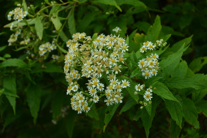 c0172234_23440803.jpg