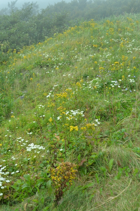 c0172234_23441684.jpg