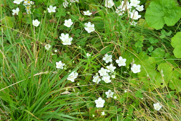 c0172234_23443643.jpg