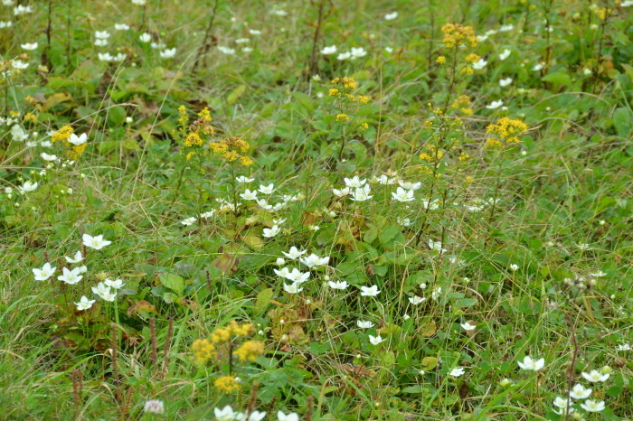 c0172234_23444601.jpg