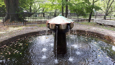 d0106134_16325030.jpg