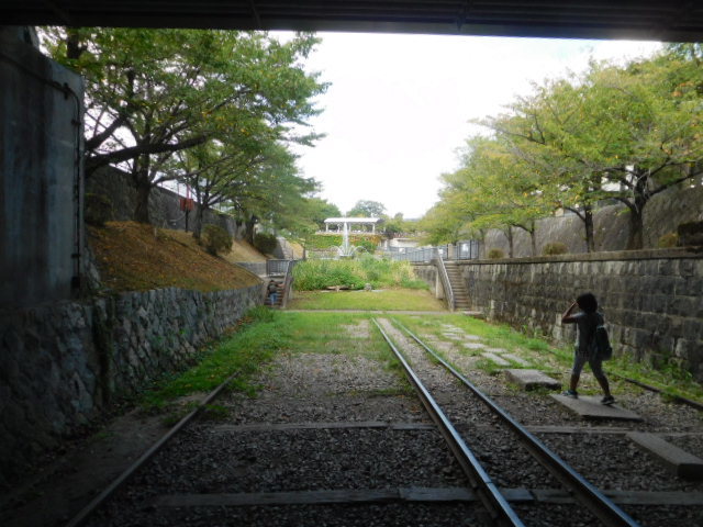 d0106134_21511852.jpg
