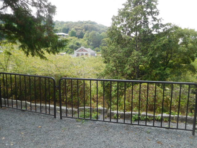 d0106134_21513433.jpg