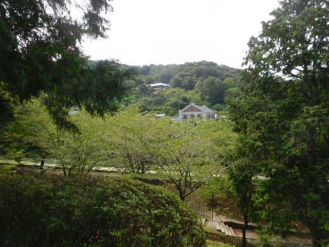 d0106134_21514534.jpg