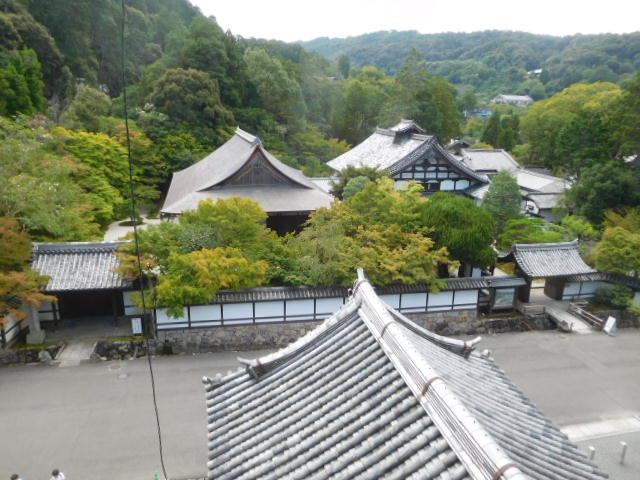 d0106134_21534391.jpg