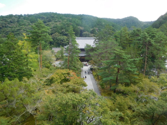 d0106134_21540157.jpg
