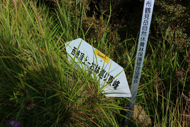 e0272335_16254355.jpg