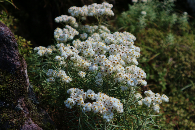 e0272335_17281079.jpg