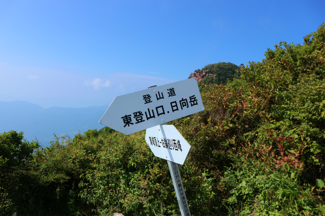 e0272335_17311326.jpg