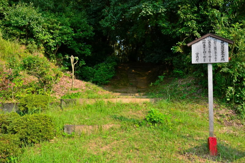 e0056537_19544681.jpg