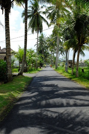 c0148238_22082411.jpg