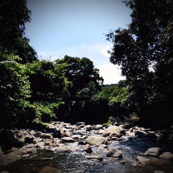 c0312349_15340910.jpg