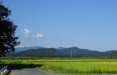 e0172950_945126.jpg