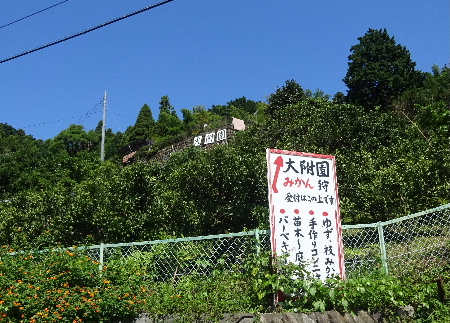 e0172950_9453539.jpg