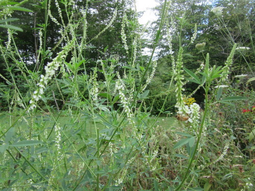 b0247153_23282539.jpg