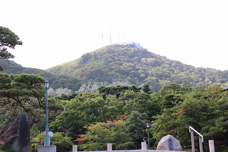 b0250154_16421434.jpg