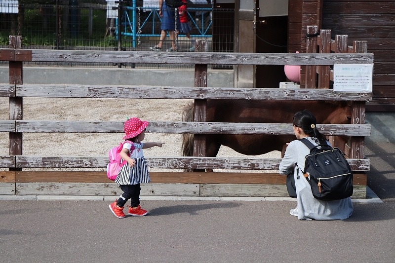 b0250154_16425670.jpg