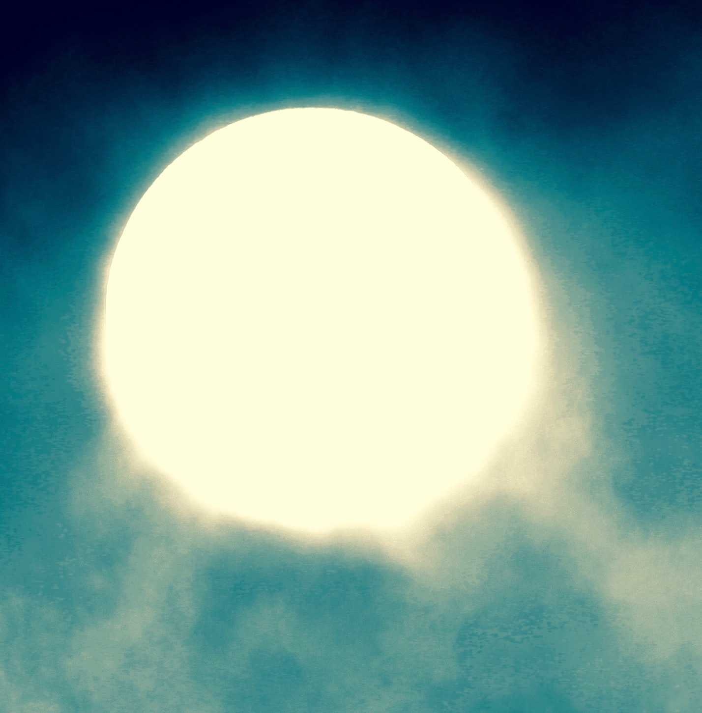 a0248459_13594568.jpg