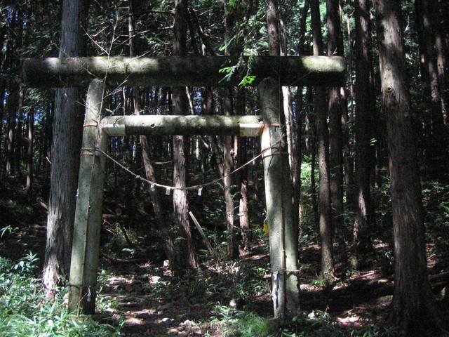 c0217771_16572633.jpg