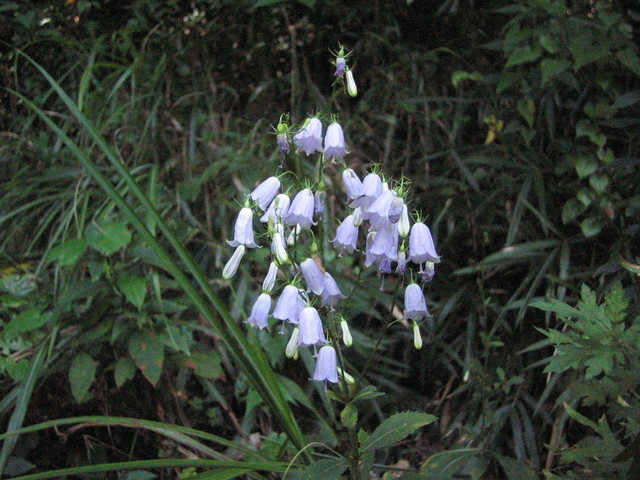 c0217771_16595228.jpg