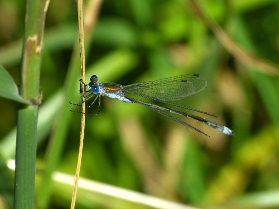 d0084473_21424425.jpg