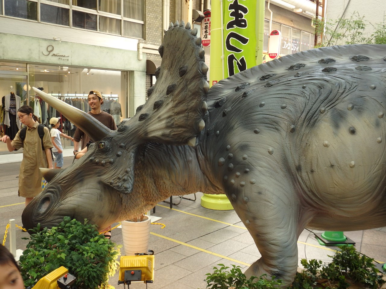 d0054276_20101610.jpg