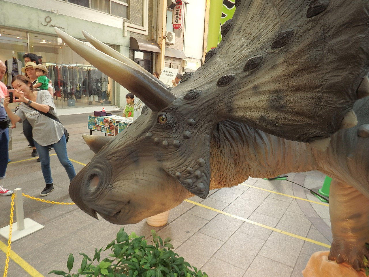 d0054276_2010544.jpg